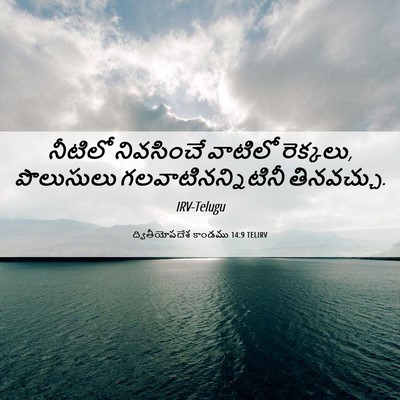 Picture 06 - ద్వితీయోపదేశ కాండము 14:9 TELIRV - నీటిలో నివసించే - Bible Verse Picture