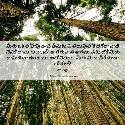 Picture 06 - ద్వితీయోపదేశ కాండము 15:17 TELIRV - మీరు ఒక లోహపు ఊచ - Bible Verse Picture