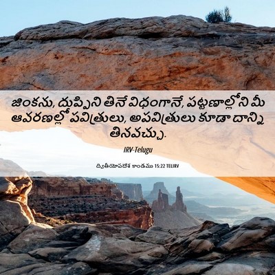 Picture 06 - ద్వితీయోపదేశ కాండము 15:22 TELIRV - జింకను, దుప్పిని - Bible Verse Picture