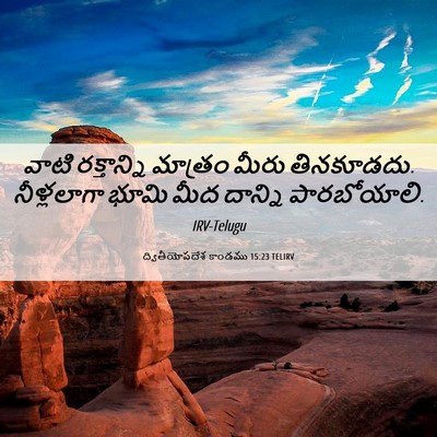 Picture 06 - ద్వితీయోపదేశ కాండము 15:23 TELIRV - వాటి రక్తాన్ని - Bible Verse Picture