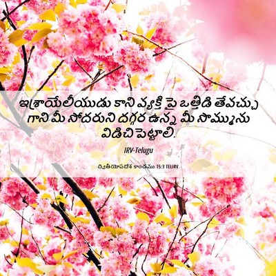 Picture 06 - ద్వితీయోపదేశ కాండము 15:3 TELIRV - ఇశ్రాయేలీయుడు - Bible Verse Picture