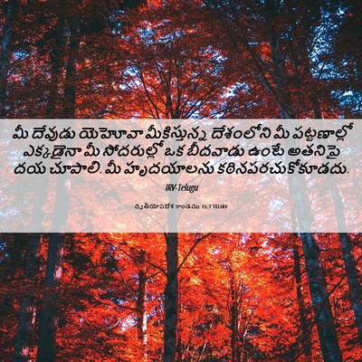 Picture 06 - ద్వితీయోపదేశ కాండము 15:7 TELIRV - మీ దేవుడు యెహోవా - Bible Verse Picture