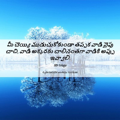 Picture 06 - ద్వితీయోపదేశ కాండము 15:8 TELIRV - మీ చెయ్యి - Bible Verse Picture