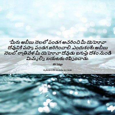 Picture 06 - ద్వితీయోపదేశ కాండము 16:1 TELIRV - “మీరు ఆబీబు నెలలో - Bible Verse Picture
