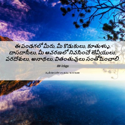 Picture 06 - ద్వితీయోపదేశ కాండము 16:14 TELIRV - ఈ పండగలో మీరు, మీ - Bible Verse Picture
