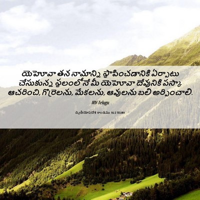 Picture 06 - ద్వితీయోపదేశ కాండము 16:2 TELIRV - యెహోవా తన - Bible Verse Picture