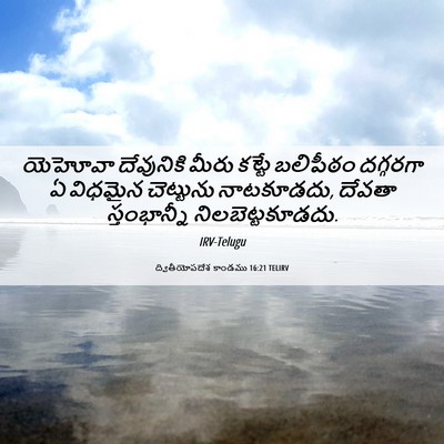 Picture 06 - ద్వితీయోపదేశ కాండము 16:21 TELIRV - యెహోవా దేవునికి - Bible Verse Picture