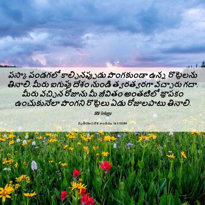 Picture 06 - ద్వితీయోపదేశ కాండము 16:3 TELIRV - పస్కా పండగలో - Bible Verse Picture