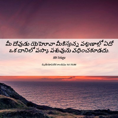 Picture 06 - ద్వితీయోపదేశ కాండము 16:5 TELIRV - మీ దేవుడు యెహోవా - Bible Verse Picture