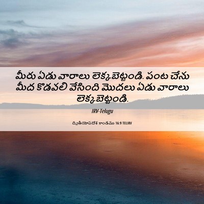 Picture 06 - ద్వితీయోపదేశ కాండము 16:9 TELIRV - మీరు ఏడు వారాలు - Bible Verse Picture