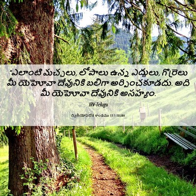 Picture 06 - ద్వితీయోపదేశ కాండము 17:1 TELIRV - “ఎలాంటి మచ్చలు, - Bible Verse Picture