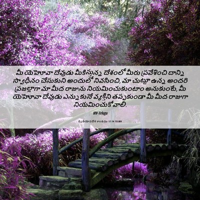 Picture 06 - ద్వితీయోపదేశ కాండము 17:14 TELIRV - మీ యెహోవా దేవుడు - Bible Verse Picture