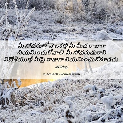 Picture 06 - ద్వితీయోపదేశ కాండము 17:15 TELIRV - మీ సోదరుల్లోనే - Bible Verse Picture