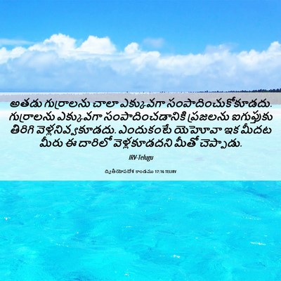 Picture 06 - ద్వితీయోపదేశ కాండము 17:16 TELIRV - అతడు గుర్రాలను - Bible Verse Picture