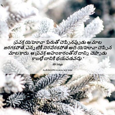 Picture 06 - ద్వితీయోపదేశ కాండము 18:22 TELIRV - ప్రవక్త యెహోవా - Bible Verse Picture