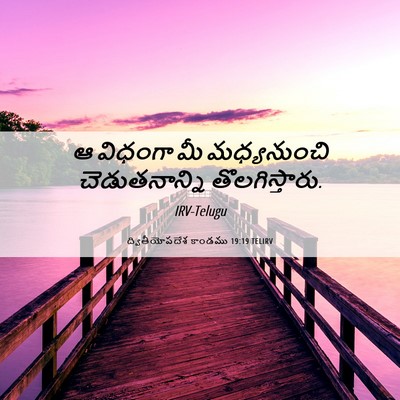 Picture 06 - ద్వితీయోపదేశ కాండము 19:19 TELIRV - ఆ విధంగా మీ - Bible Verse Picture