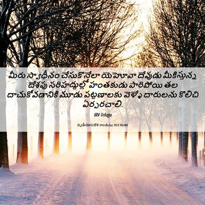 Picture 06 - ద్వితీయోపదేశ కాండము 19:3 TELIRV - మీరు స్వాధీనం - Bible Verse Picture