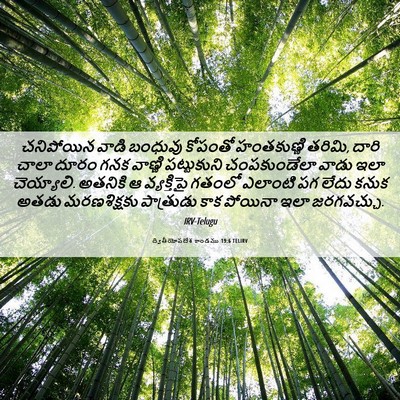 Picture 06 - ద్వితీయోపదేశ కాండము 19:6 TELIRV - చనిపోయిన వాడి - Bible Verse Picture