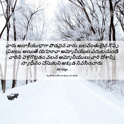 Picture 06 - ద్వితీయోపదేశ కాండము 2:21 TELIRV - వారు - Bible Verse Picture