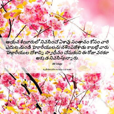 Picture 06 - ద్వితీయోపదేశ కాండము 2:22 TELIRV - ఆయన శేయీరులో - Bible Verse Picture