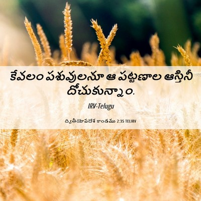 Picture 06 - ద్వితీయోపదేశ కాండము 2:35 TELIRV - కేవలం పశువులనూ ఆ - Bible Verse Picture