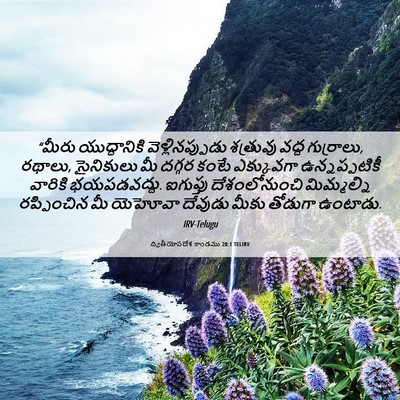 Picture 06 - ద్వితీయోపదేశ కాండము 20:1 TELIRV - “మీరు యుద్ధానికి - Bible Verse Picture