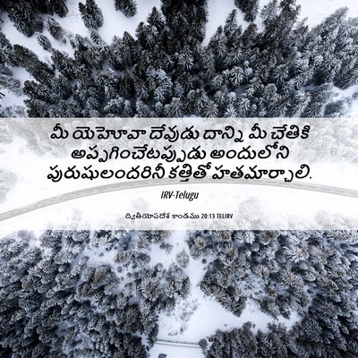 Picture 06 - ద్వితీయోపదేశ కాండము 20:13 TELIRV - మీ యెహోవా దేవుడు - Bible Verse Picture