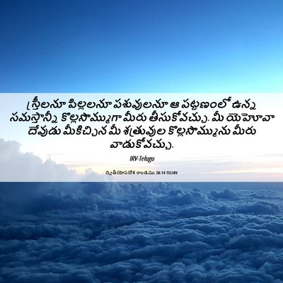 Picture 06 - ద్వితీయోపదేశ కాండము 20:14 TELIRV - స్త్రీలనూ - Bible Verse Picture