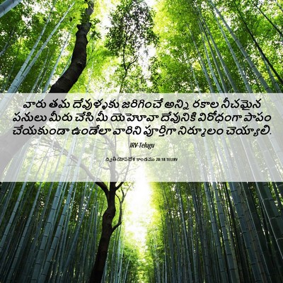 Picture 06 - ద్వితీయోపదేశ కాండము 20:18 TELIRV - వారు తమ దేవుళ్ళకు - Bible Verse Picture