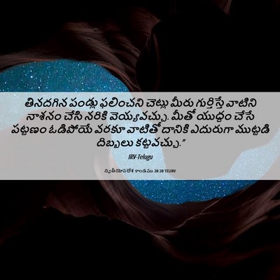 Picture 06 - ద్వితీయోపదేశ కాండము 20:20 TELIRV - తినదగిన పండ్లు - Bible Verse Picture
