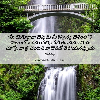Picture 06 - ద్వితీయోపదేశ కాండము 21:1 TELIRV - “మీ యెహోవా దేవుడు - Bible Verse Picture