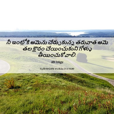 Picture 06 - ద్వితీయోపదేశ కాండము 21:12 TELIRV - నీ ఇంట్లోకి ఆమెను - Bible Verse Picture