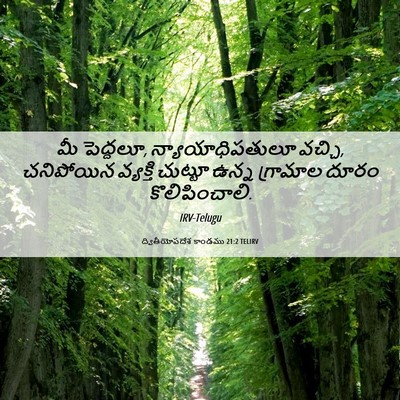 Picture 06 - ద్వితీయోపదేశ కాండము 21:2 TELIRV - మీ పెద్దలూ, - Bible Verse Picture