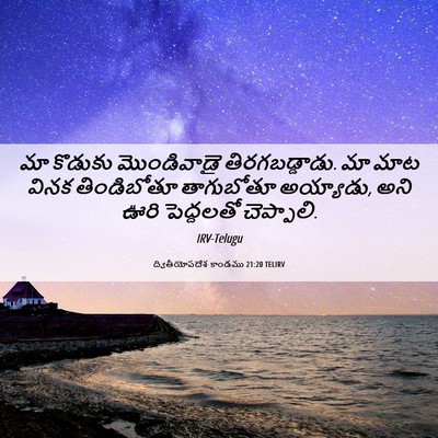 Picture 06 - ద్వితీయోపదేశ కాండము 21:20 TELIRV - మా కొడుకు - Bible Verse Picture