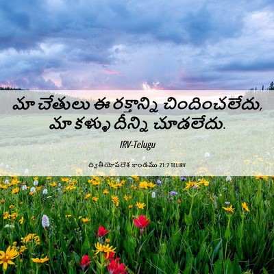 Picture 06 - ద్వితీయోపదేశ కాండము 21:7 TELIRV - మా చేతులు ఈ - Bible Verse Picture