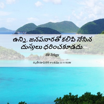 Picture 06 - ద్వితీయోపదేశ కాండము 22:11 TELIRV - ఉన్ని, జనపనారతో - Bible Verse Picture