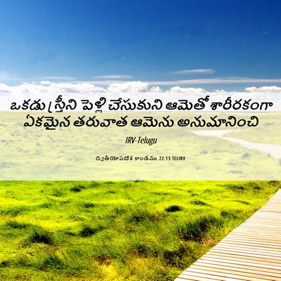 Picture 06 - ద్వితీయోపదేశ కాండము 22:13 TELIRV - ఒకడు స్త్రీని - Bible Verse Picture