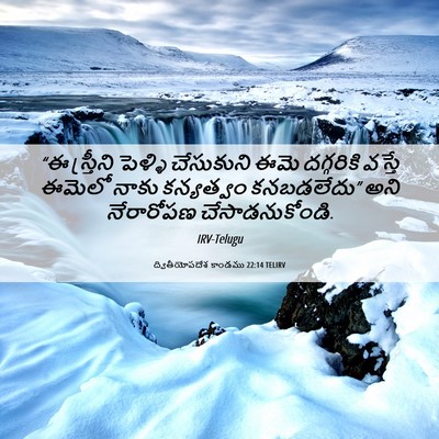 Picture 06 - ద్వితీయోపదేశ కాండము 22:14 TELIRV - “ఈ స్త్రీని - Bible Verse Picture