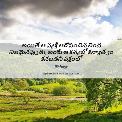Picture 06 - ద్వితీయోపదేశ కాండము 22:20 TELIRV - అయితే ఆ వ్యక్తి - Bible Verse Picture