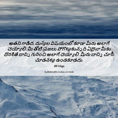Picture 06 - ద్వితీయోపదేశ కాండము 22:3 TELIRV - అతని గాడిద, - Bible Verse Picture