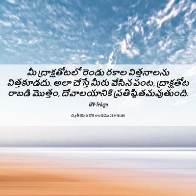 Picture 06 - ద్వితీయోపదేశ కాండము 22:9 TELIRV - మీ ద్రాక్షతోటలో - Bible Verse Picture