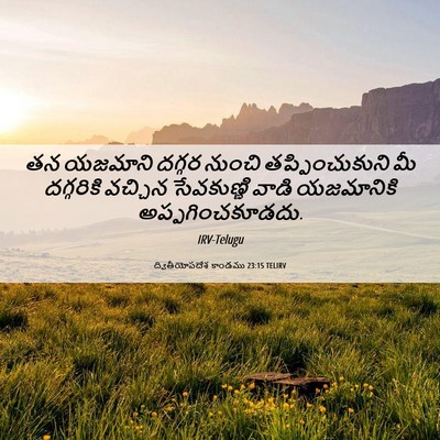 Picture 06 - ద్వితీయోపదేశ కాండము 23:15 TELIRV - తన యజమాని దగ్గర - Bible Verse Picture