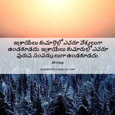 Picture 06 - ద్వితీయోపదేశ కాండము 23:17 TELIRV - ఇశ్రాయేలు - Bible Verse Picture