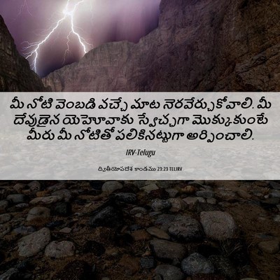 Picture 06 - ద్వితీయోపదేశ కాండము 23:23 TELIRV - మీ నోటి వెంబడి - Bible Verse Picture