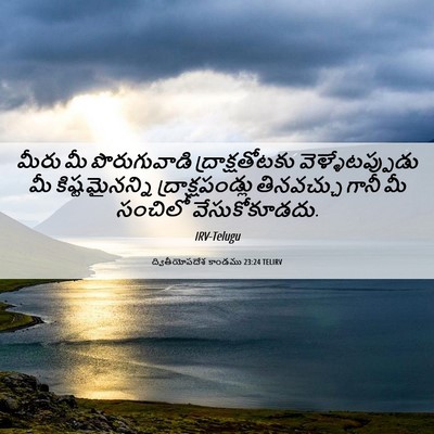 Picture 06 - ద్వితీయోపదేశ కాండము 23:24 TELIRV - మీరు మీ - Bible Verse Picture