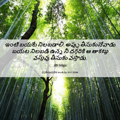 Picture 06 - ద్వితీయోపదేశ కాండము 24:11 TELIRV - ఇంటి బయటే - Bible Verse Picture