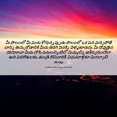 Picture 06 - ద్వితీయోపదేశ కాండము 24:19 TELIRV - మీ పొలంలో మీ పంట - Bible Verse Picture