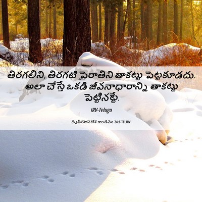 Picture 06 - ద్వితీయోపదేశ కాండము 24:6 TELIRV - తిరగలిని, తిరగటి - Bible Verse Picture