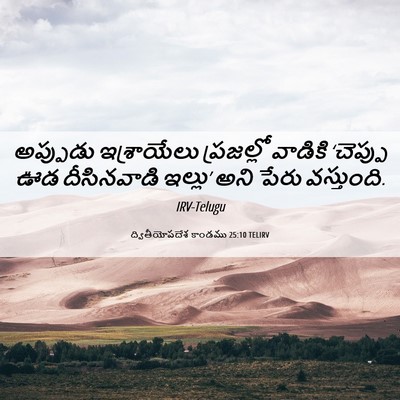 Picture 06 - ద్వితీయోపదేశ కాండము 25:10 TELIRV - అప్పుడు ఇశ్రాయేలు - Bible Verse Picture