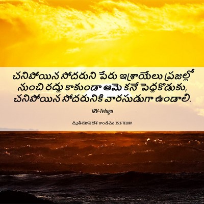 Picture 06 - ద్వితీయోపదేశ కాండము 25:6 TELIRV - చనిపోయిన సోదరుని - Bible Verse Picture